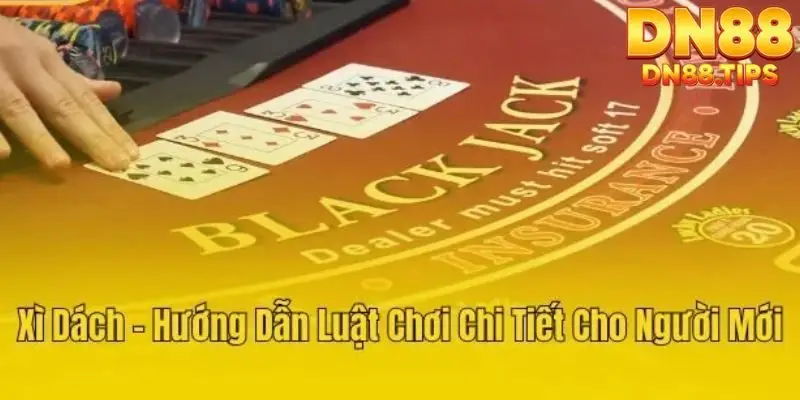 Cách chơi Game bài xì dách DN88 cho người mới